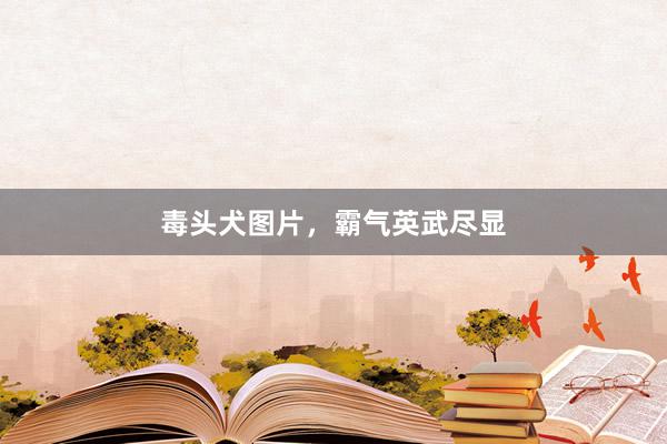 毒头犬图片，霸气英武尽显
